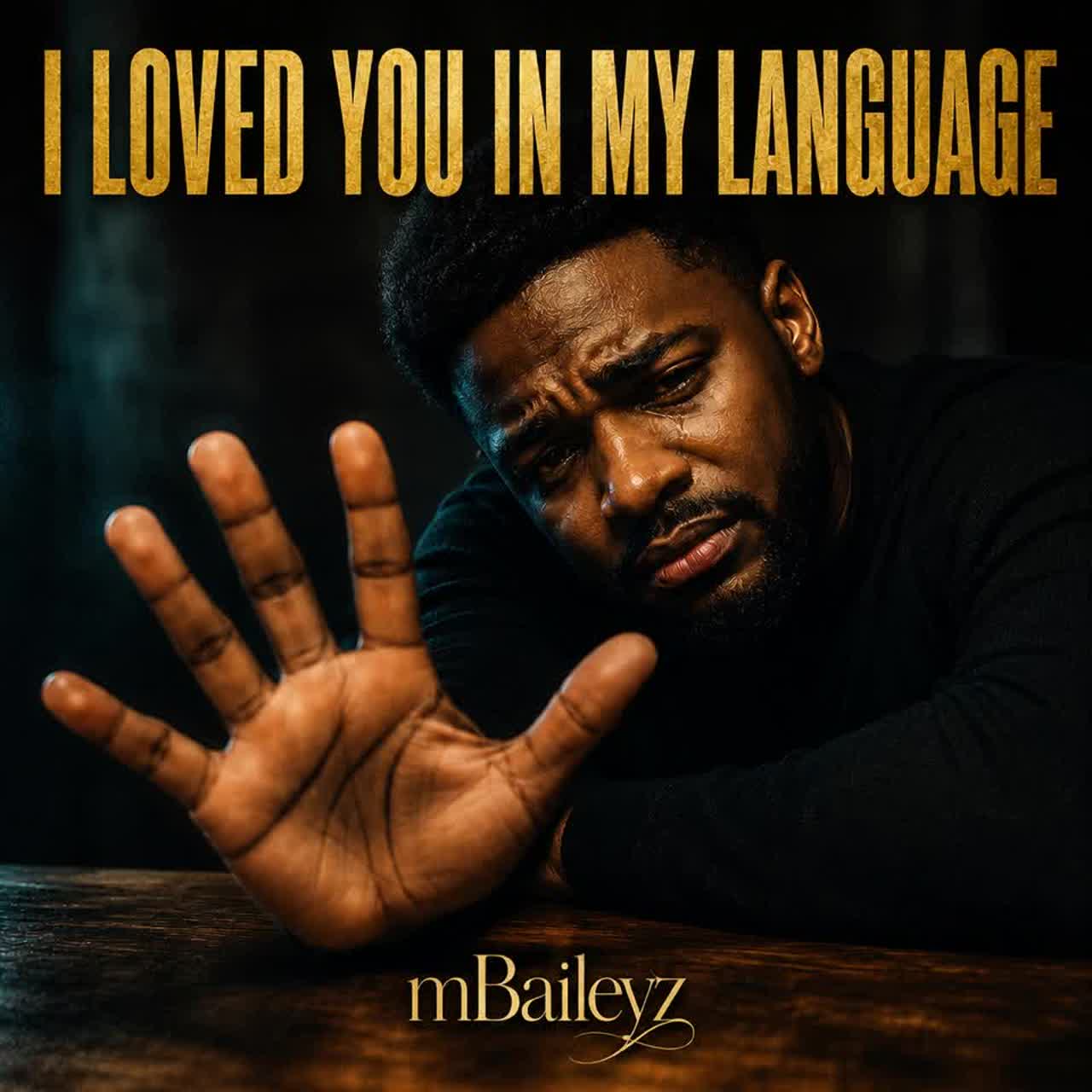 I Loved You in My Language cover